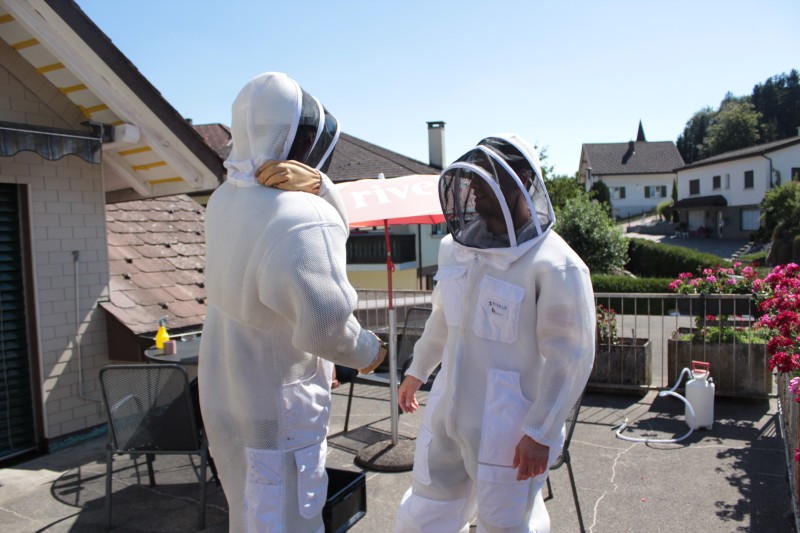 Deux experts Kammerjaeger &agrave; Bex portent des combinaisons de protection blanches pour intervenir sur un toit par une journ&eacute;e ensoleill&eacute;e.